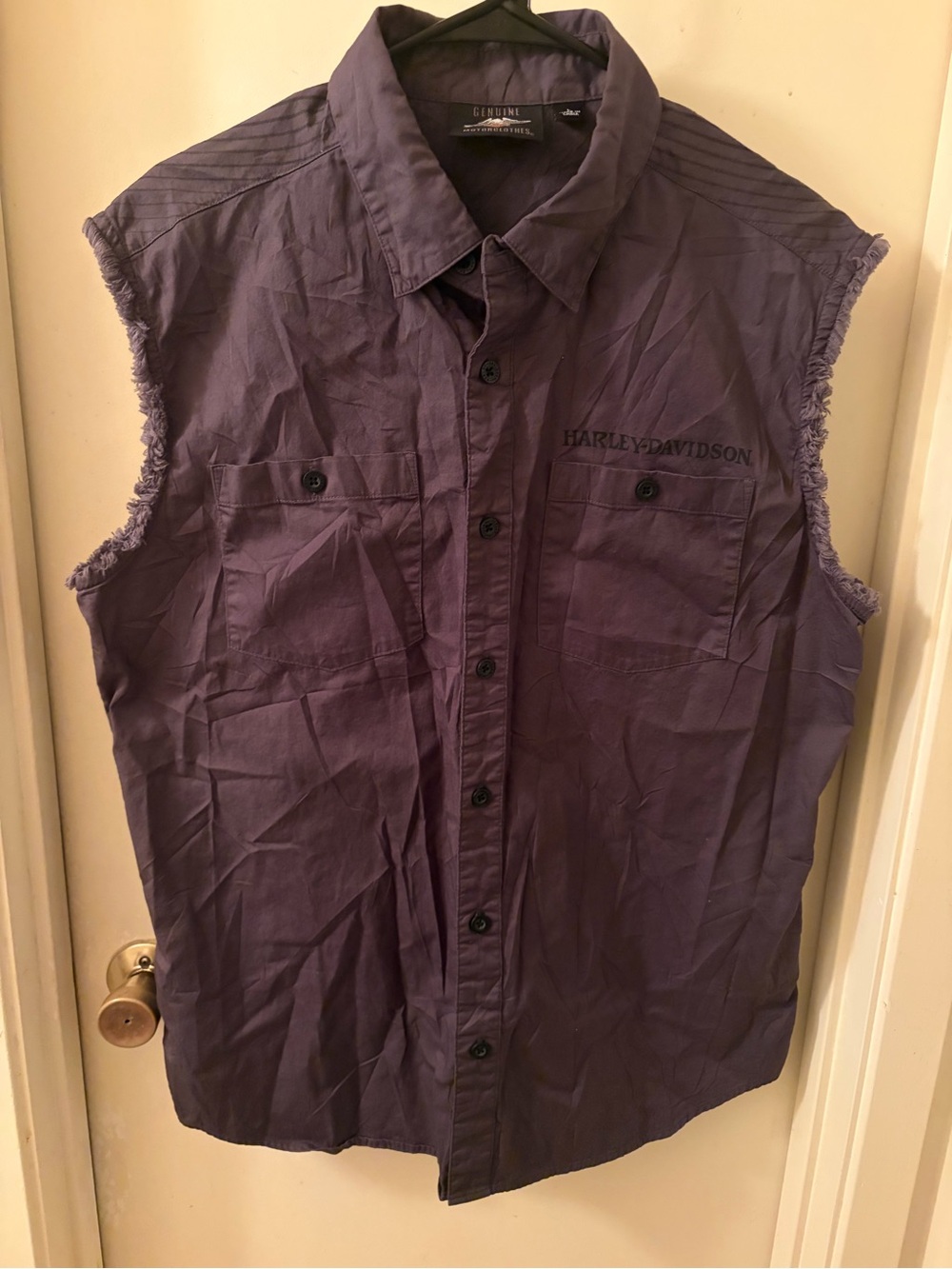 Harley-Davidson Men's Gray Sleeveless Button-Up Vest